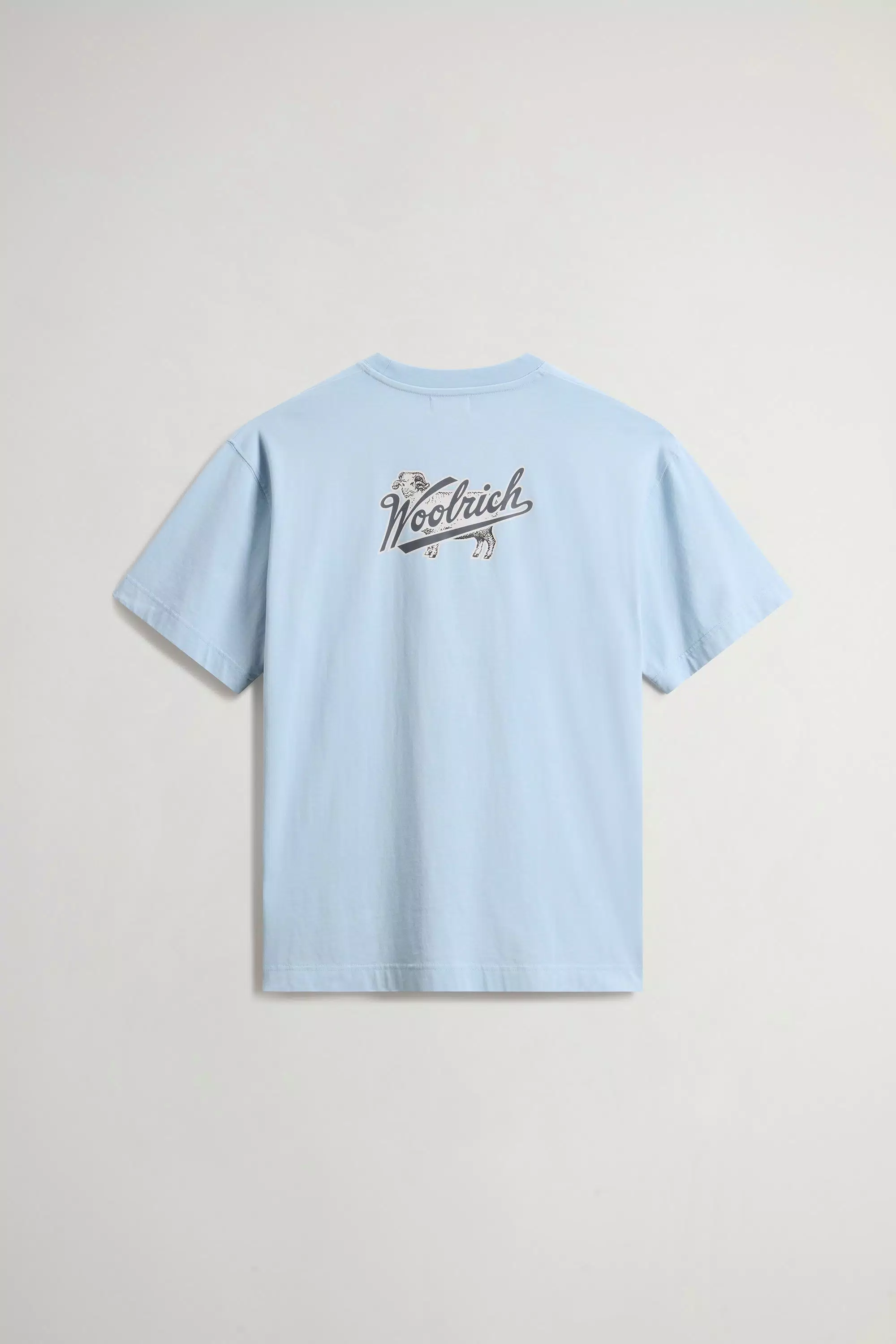 Camiseta de Algodão Puro com Logotipo - Flask
